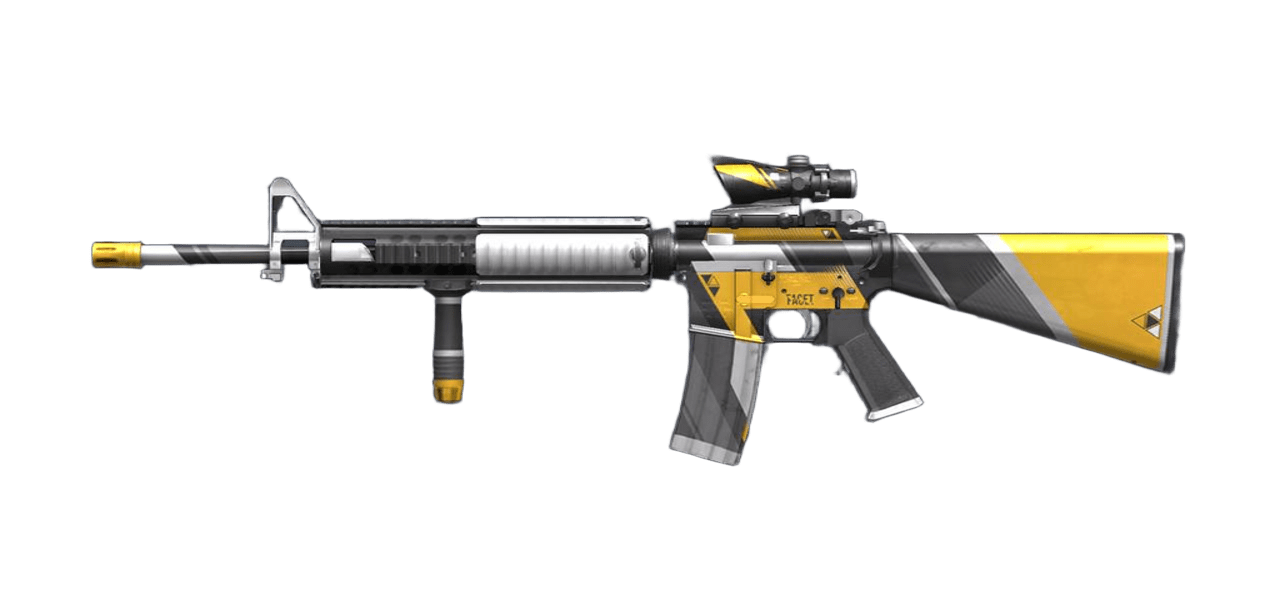 M16 "FACET"