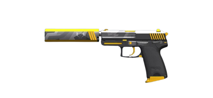 USP "RAY" 